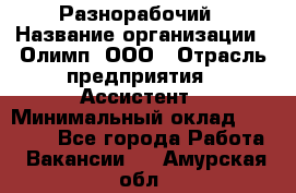 Разнорабочий › Название организации ­ Олимп, ООО › Отрасль предприятия ­ Ассистент › Минимальный оклад ­ 25 000 - Все города Работа » Вакансии   . Амурская обл.